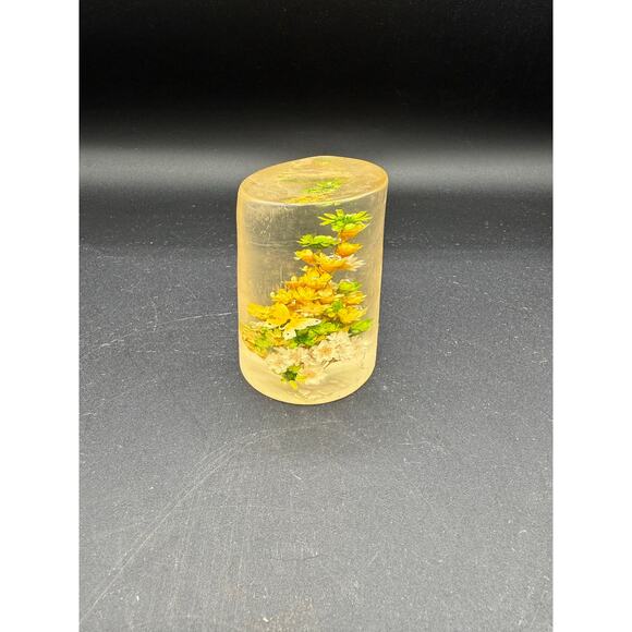 Retro Daisyglas Lucite Paperweight- Dried Flowers and small butterfly - Picture 2 of 8